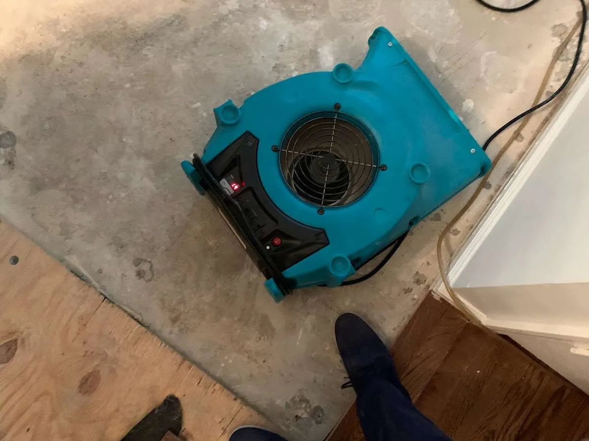 Air mover drying subfloor during Commercial Water Damage Restoration in Brandon